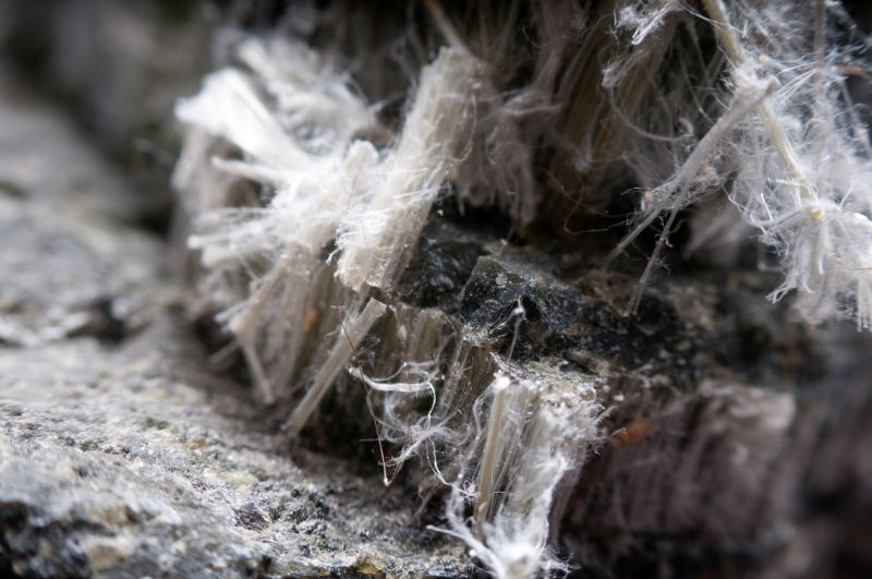 Asbestos-Contaminated Materials