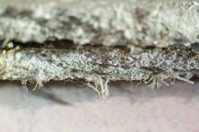 Asbestos Fibers in Dust